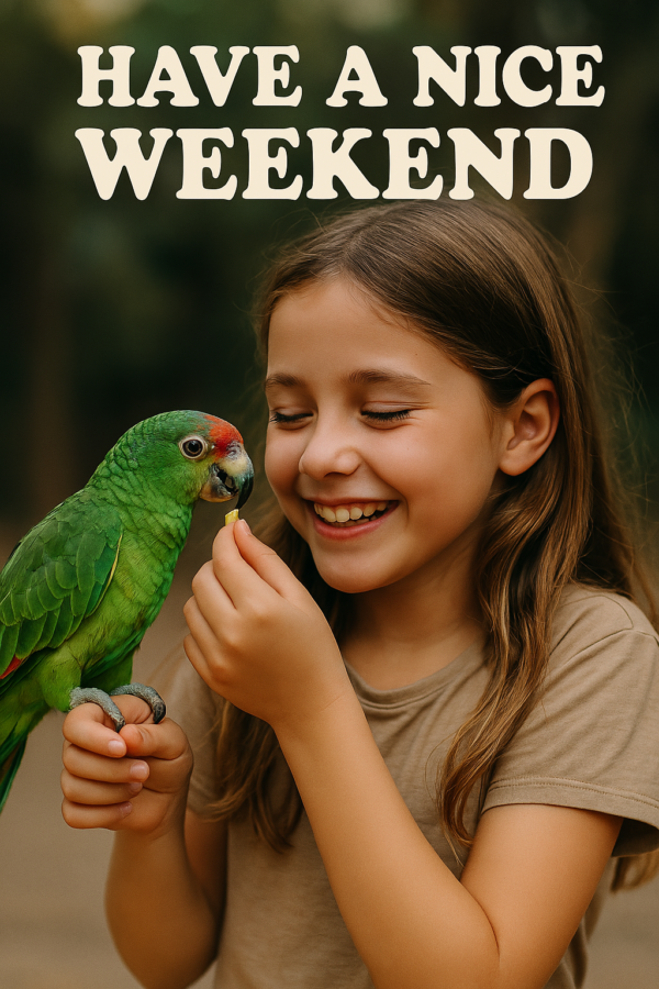 Download Have a Nice Weekend Image Collection V.0.01 Edition 🌞✨ - Image 8