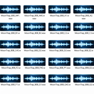 Download Moon Trap Detroit Sample Bank – Deep 808 Sub Bass Pack